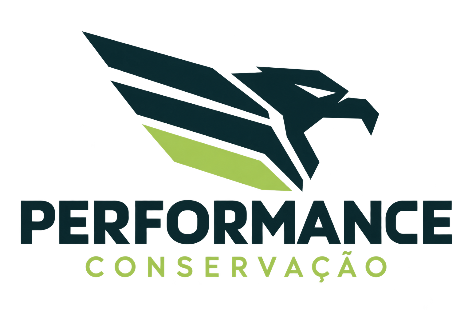 Performance Conservação